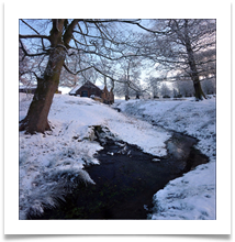 dunham mill 1 - Alan Taylor.